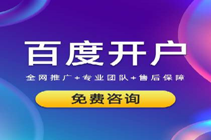 SEM代理的优化策略及成功案例